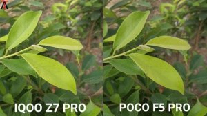 Iqoo Z7 Pro Vs Poco F5 Pro | Camera Test Comparison | Iqoo Vs Poco