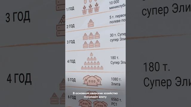 Визит министра сельского хозяйства России Дмитрия Патрушева