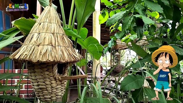 Bird Nest Looping смотреть онлайн