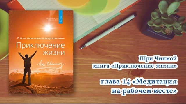 Часть 14 "ПРИКЛЮЧЕНИЕ ЖИЗНИ" Шри Чинмой  АУДИОКНИГА