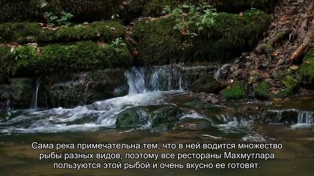 Все о курорте Махмутлар в Турции: карта, описание, достопримечательности
