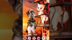 кот том поет серинаду