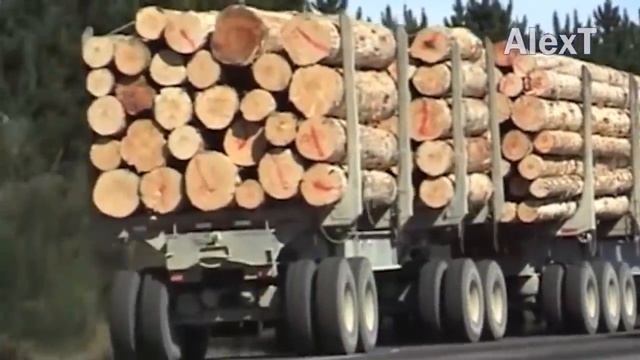 Extreme Dangerous Huge Wood Logging Truck Driving Skill, Amazing Heavy Equipment Operator Truck смотреть онлайн