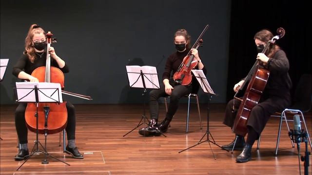 Vivaldi Cello Concerto in C major, RV 399 смотреть онлайн