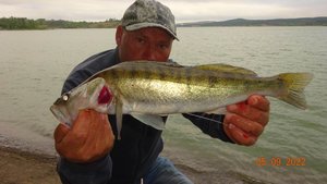 Ловля судака в начале осени.2022..