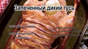 Гусь рецепты приготовления.Запеченный дикий гусь