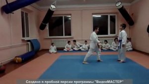 Каратэ до шотокан аттестация на 3 кю (светло-коричневый пояс)
