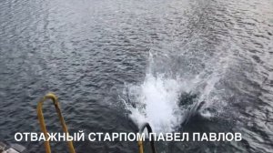 Антарктида. Они не сдохли в проливе Дрейка (Жесть)