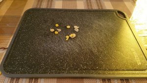 Горох на карпа, как сварить горох для рыбалки