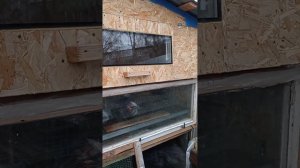 Изготовление в большой брудер пол из сетки.