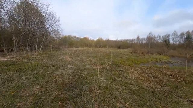 РЫБАЛКА НА КОСЫНКИ. С ЗИМЫ ИХ НЕ ЛОВИЛ.