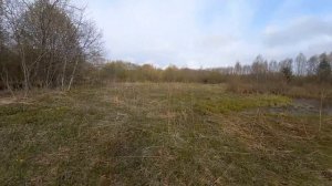 РЫБАЛКА НА КОСЫНКИ. С ЗИМЫ ИХ НЕ ЛОВИЛ.