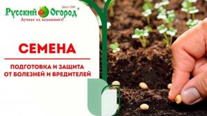 ЭТИ #ПРАВИЛА ВАМ ТОЧНО ПОМОГУТ ПОЛУЧИТЬ ОТЛИЧНЫЕ #ВСХОДЫ СЕМЯН. подготовка семян при посеве...