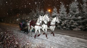 ТРИ  БЕЛЫХ  КОНЯ