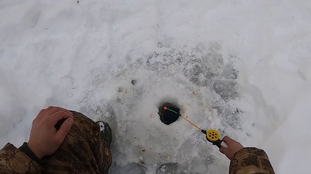 Зимняя рыбалка на Хариуса 2021г. смотреть онлайн