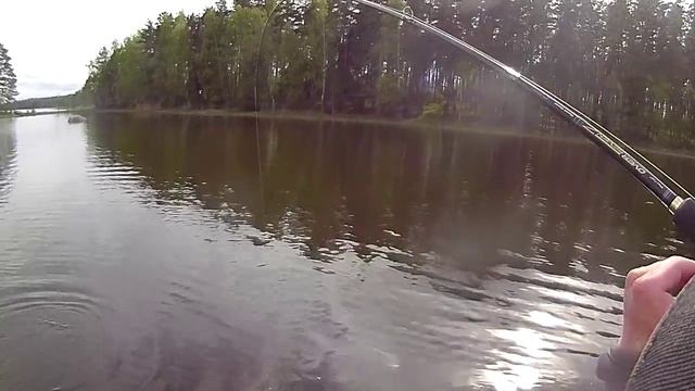 Лучшая приманка для ловли в траве - Спиннербейт. смотреть онлайн