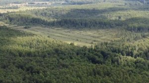 Алексеево, Павлово-Посадский район