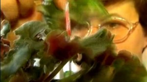 Фиалки и не только!!! Коллекция Кармаковой Натальи.