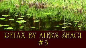 Relax by Aleks SHAGI #03 Кувшинки на Волге (Water lilies on the Volga river) 2021-0624 KORG Pa4X