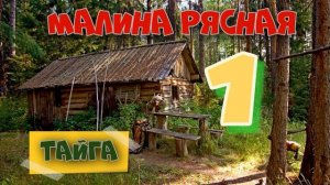 0826 - МАКАРЫЧ В ТАЙГЕ _ ТАЁЖНАЯ МАЛИНА _ МЕДВЕДЬ В КУСТАХ _ ЖИЗНЬ В ЛЕСУ 1.mp4