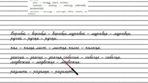 Упражнение №56 — Гдз по русскому языку 5 класс (Ладыженская) 2019 часть 1