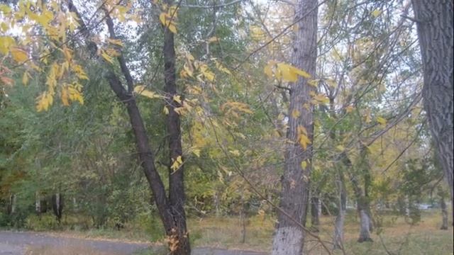 Осенняя серенада смотреть онлайн