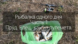 Рыбалка одного дня. Часть 1. Пруд