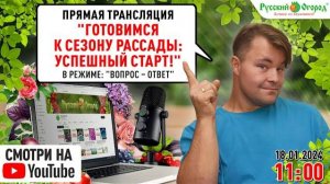 Готовимся к сезону рассады: успешный старт!