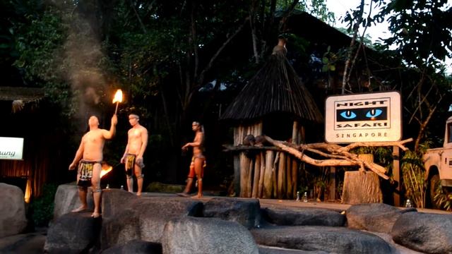 Thumbuakar Show Night Safari Singapore смотреть онлайн