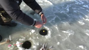 Зимняя рыбалка, ловля  на  снасть "ШАРИК".  My fishing