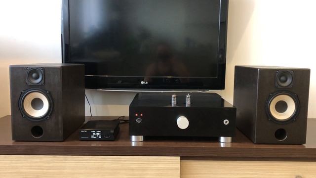 Двухполосные акустические системы, RCF(в/ч), SONY(н/ч,с/ч).