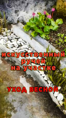 Очистка ручья весной на участке