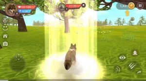 ШОК! ПОТЕРЯЛ АККАУНТ и НАЧАЛ с НУЛЯ в WILDCRAFT