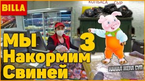 Финал истории с борзой Биллой, не возвращающей деньги за тухляк, умышленно торгуют просрочкой!