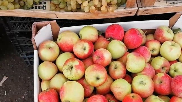 Астраханские помидоры и арбузы. Томат астраханский. Астрахань 2020. Большие Исады Астрахань.