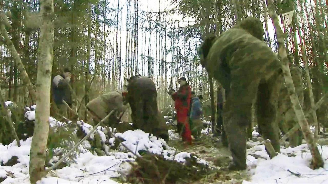 В Новгородской области нашли военный самолет, пропавший 75 лет назад