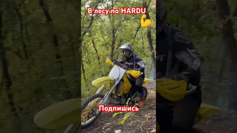 В лесу по HARDU #suzuki #gasgas #zuumav