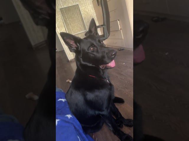 IMG 0085 смотреть онлайн