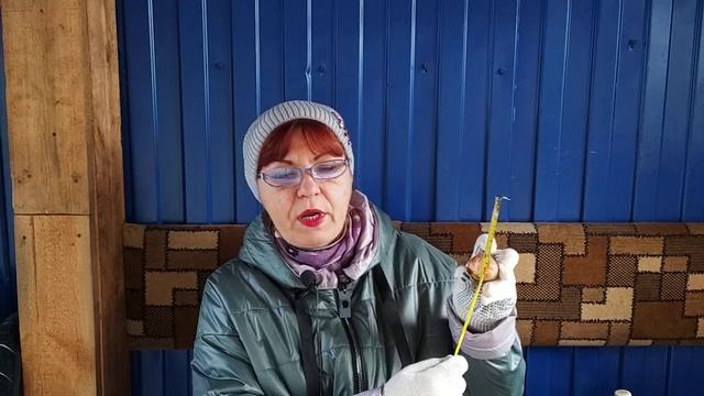 Посадка тюльпанов. Основные правила. смотреть онлайн