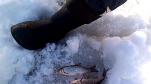 Рыбалка на реке Белой!!! Белорецкий район ?