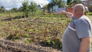Ручная картофелекопалка,урожай 2022.