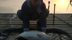 Рыбалка с друзьями на озёрах Адыгеи.