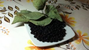 ЧЕРЁМУХА - СБОР,СУШКА И ХРАНЕНИЕ СЫРЬЯ.