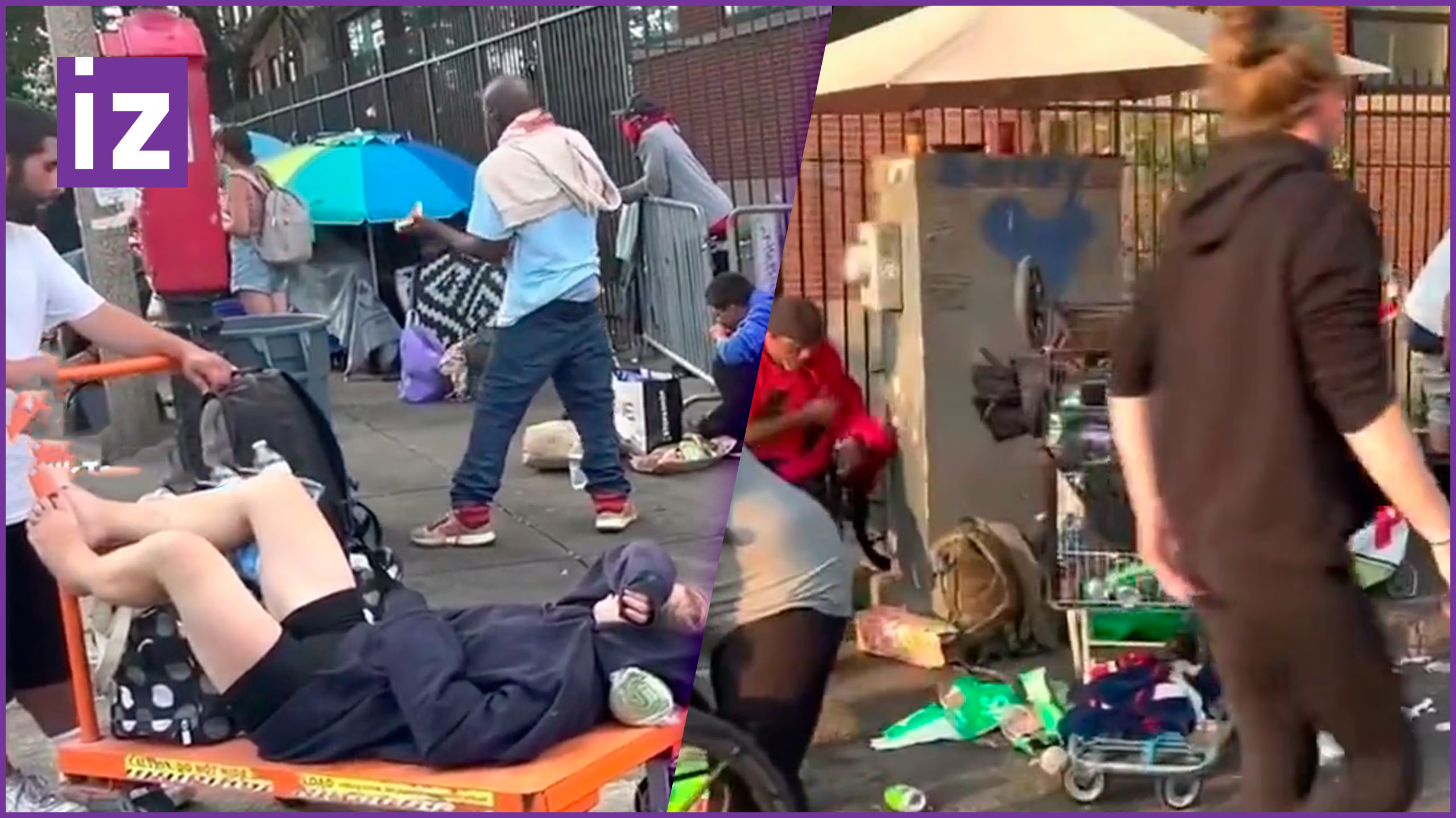 Скрытая тьма за гламуром и глянцем: бостонский «зомбиленд» грозит поглотить Гарвард / Известия