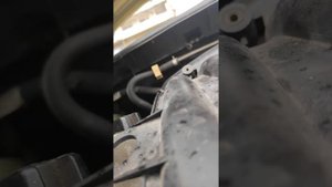 Ниссан тиида. Снял ремень, шум, дребежание то-ли цепи, то-ли генератора пропало.