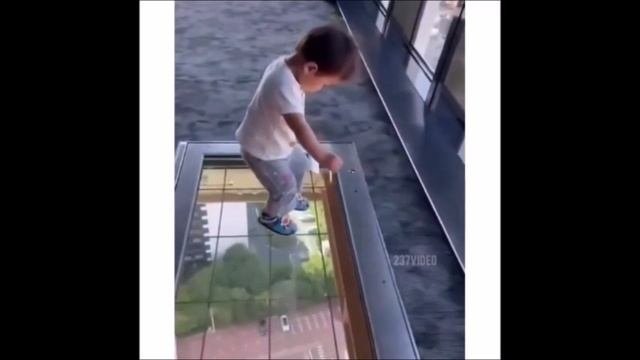 Новые приколы