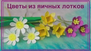 Цветы из яичных лотков. Нарцисс, ромашка, фиалка