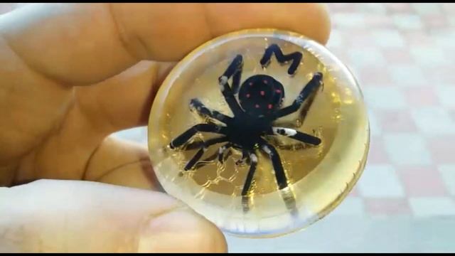 Паук в оргстекле смотреть онлайн