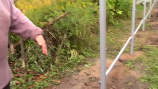 Забор с профильного листа - установили столбы