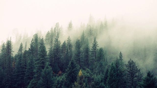 30 min of sleeping music,beatiful piano music,Relax music,stress Relief смотреть онлайн